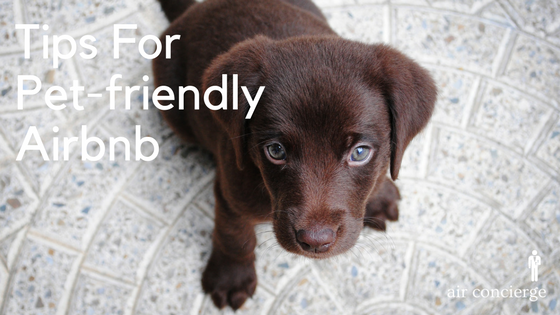 Make Your Airbnb Listing Stand Out By Welcoming Pets